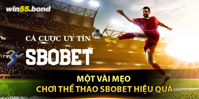 Một vài mẹo chơi thể thao sbobet hiệu quả