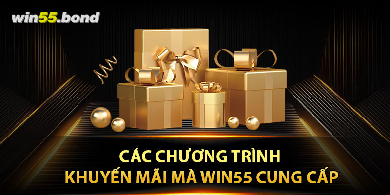 Các chương trình khuyến mãi mà Win55 cung cấp