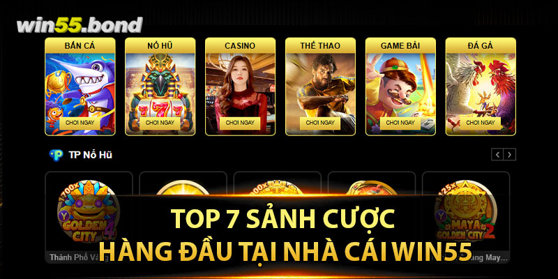 TOP 7 sảnh cược hàng đầu tại nhà cái Win55